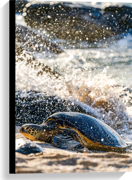 WallClassics - Canvas - Grote Schildpad in spetterend Zeewater - 40x60 cm Foto op Canvas Schilderij (Wanddecoratie op Canvas)