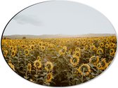 WallClassics - Dibond Ovaal - Veld vol Zonnebloemen - 40x30 cm Foto op Ovaal (Met Ophangsysteem)