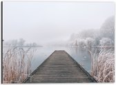 Dibond - Houten Vlonder in de Mist met Grassen - 40x30 cm Foto op Aluminium (Met Ophangsysteem)