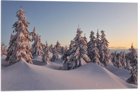 Vlag - Dikke Laag Sneeuw in Open Bos met Bomen - 75x50 cm Foto op Polyester Vlag