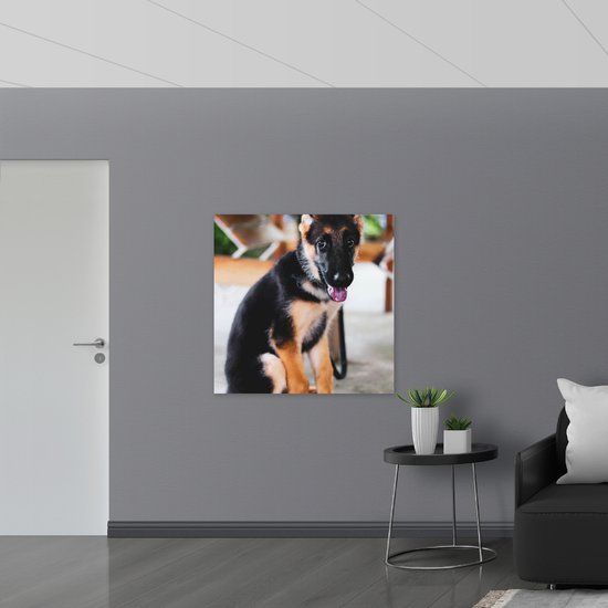WallClassics - Muursticker - Onschuldige Herder Puppy - 100x100 cm Foto op Muursticker