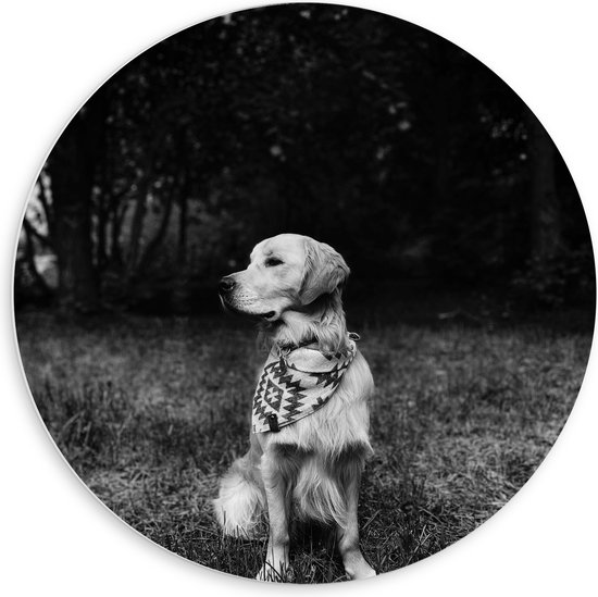 PVC Schuimplaat Muurcirkel - Zittende Hond in Zwart-Wit - 60x60 cm Foto op Muurcirkel (met ophangsysteem)