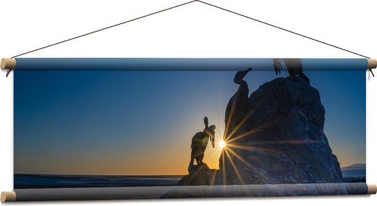 WallClassics - Textielposter - Volgels op Rots bij Zonsondergang - 90x30 cm Foto op Textiel