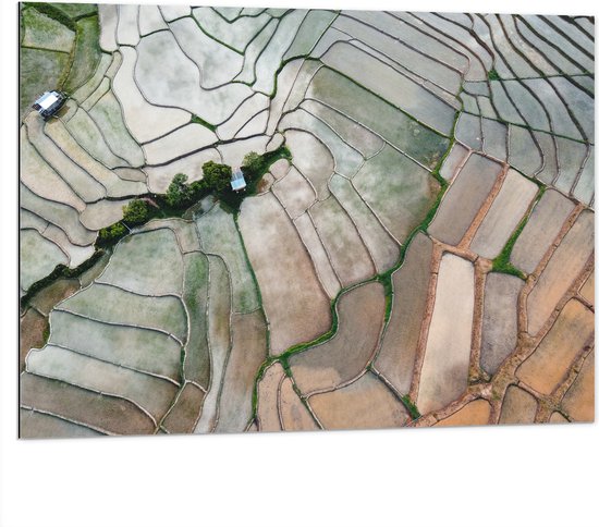 Dibond - Bovenaanzicht van de Rijstvelden van Vietnam - 100x75 cm Foto op Aluminium (Met Ophangsysteem)