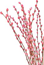 Katjes - Wilgenkatjes - Katjes takken - Roze - 70 cm - Natuurlijk Bloemen
