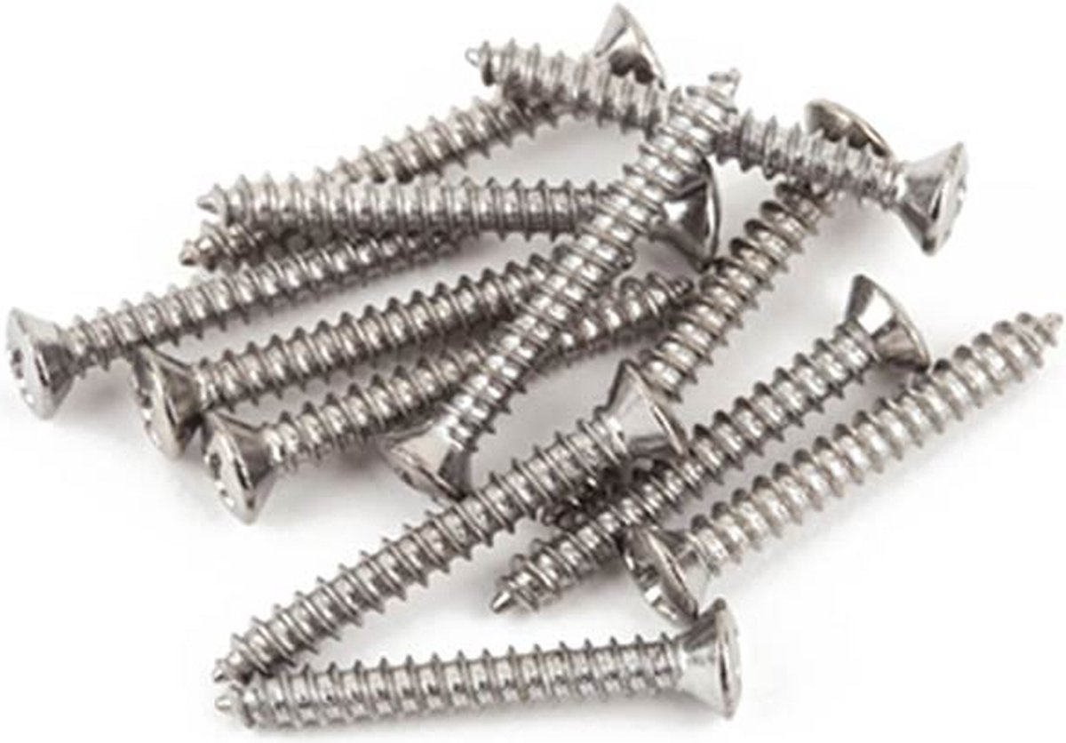Fender 21422049 Chromen Brugmontageschroeven - Set van 12