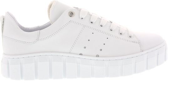 Dames Sneakers Tango Harper 1 a Wit Maat 37 bol