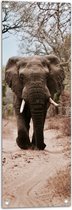 WallClassics - Tuinposter – Vooruitlopende Olifant op Droog Bospad - 30x90 cm Foto op Tuinposter (wanddecoratie voor buiten en binnen)