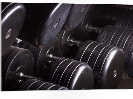 PVC Schuimplaat - Foto van Rek Vol Dumbells in Sportschool - 75x50 cm Foto op PVC Schuimplaat (Met Ophangsysteem)