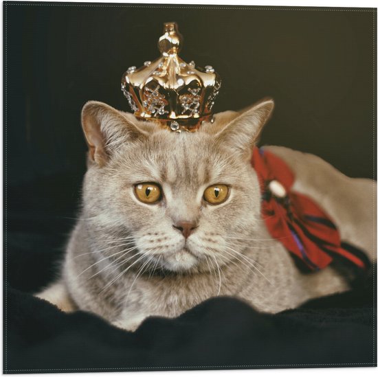 Vlag - Kat als Koning met Kroontje - 50x50 cm Foto op Polyester Vlag