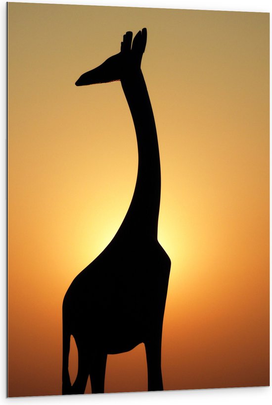 WallClassics - Dibond - Silhouet van Giraffe bij Feloranje Lucht - 80x120 cm Foto op Aluminium (Met Ophangsysteem)