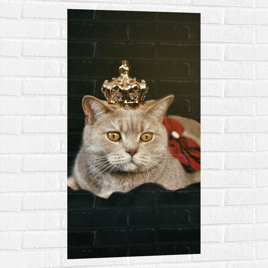 Muursticker - Kat als Koning met Kroontje - 50x100 cm Foto op Muursticker
