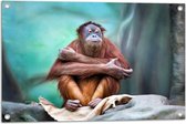 Tuinposter – Orang-Oetan Vrouwtje op een Boom - 75x50 cm Foto op Tuinposter (wanddecoratie voor buiten en binnen)