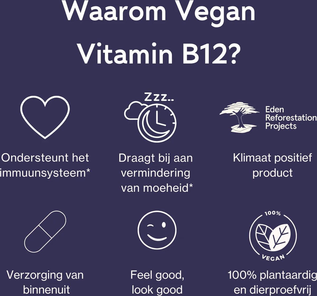 Smoothly Clear Vegan Vitamine B12 e actieve vorm van vitamine B12 in een diervrije...