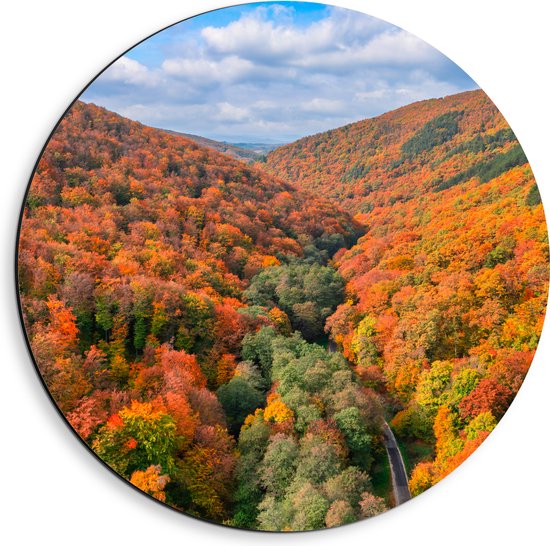 Dibond Muurcirkel - Uitzicht van een Kleurrijk Bos in de Herfst - 40x40 cm Foto op Aluminium Muurcirkel (met ophangsysteem)