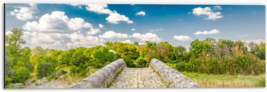 Dibond - Stenen Brug over Kleine Rivier heen omringd door Natuur - 60x20 cm Foto op Aluminium (Met Ophangsysteem)