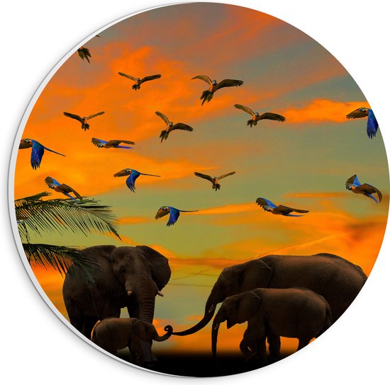 WallClassics - PVC Schuimplaat Muurcirkel - Olifanten bij Palmbomen met Tropische Vogels - 20x20 cm Foto op Muurcirkel (met ophangsysteem)