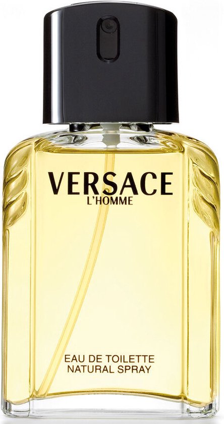 stam Onrustig steenkool Versace L'Homme - 100ml - Eau de toilette | bol.com