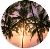 PVC Schuimplaat Muurcirkel - Tropische Palmbomen voor Oceaan en Zonsondergang - 60x60 cm Foto op Muurcirkel (met ophangsysteem)