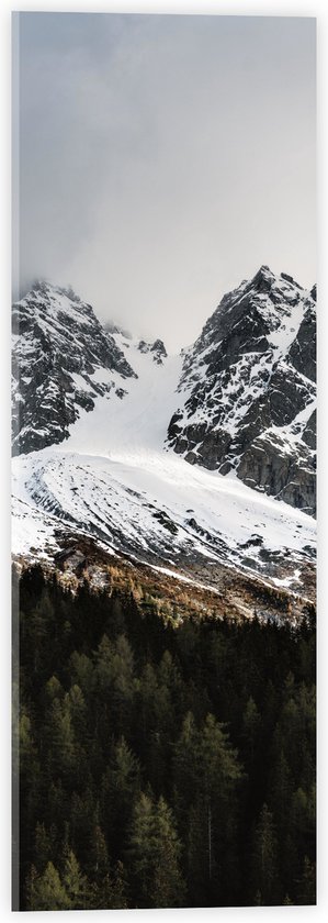 WallClassics - Acrylglas - Sneeuwbergen achter het Bos - 20x60 cm Foto op Acrylglas (Wanddecoratie op Acrylaat)