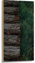 WallClassics - Hout - Houten Pad langs Grasveld - 50x100 cm - 12 mm dik - Foto op Hout (Met Ophangsysteem)