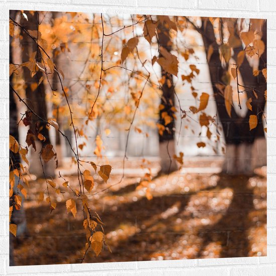Muursticker - Herfstbladeren aan Tak Hangend in Bos met Zonnestralen - 100x100 cm Foto op Muursticker