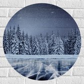 Muursticker Cirkel - Heldere Sterrenhemel boven Dichtbegroeid Bos in Sneeuw Landschap - 60x60 cm Foto op Muursticker