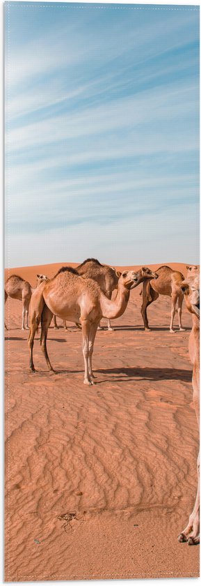 Vlag - Dromedarissen in de Woestijn - 20x60 cm Foto op Polyester Vlag