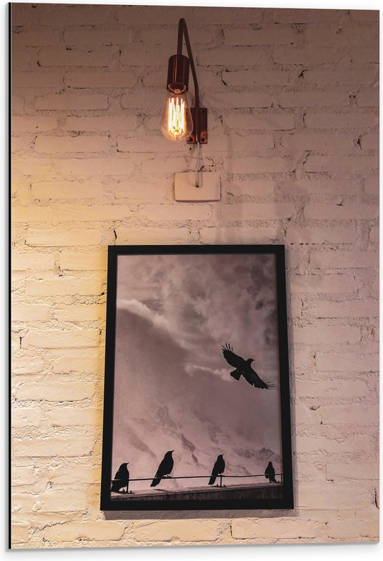 Dibond - Schilderij van Vogels aan de Witte Muur - 40x60 cm Foto op Aluminium (Wanddecoratie van metaal)