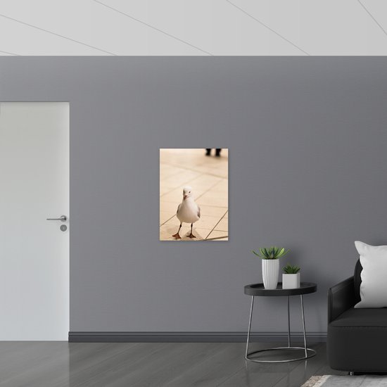 WallClassics - Dibond - Grande mouette sautillante - Photo 60x80 cm sur aluminium (avec système de suspension)