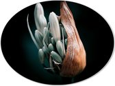 Dibond Ovaal - Groene Bloemen Groeiend uit Plant - 40x30 cm Foto op Ovaal (Met Ophangsysteem)