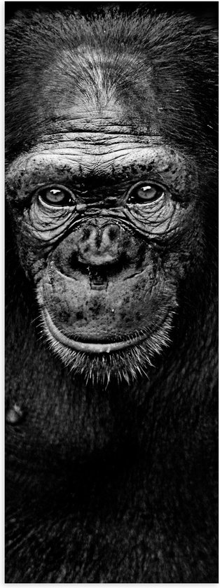 Poster (Mat) - Chimpansee van Dichtbij in Zwart-Wit - 20x60 cm Foto op Posterpapier met een Matte look