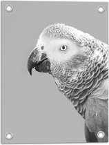 Tuinposter – Zijaanzicht Papegaai in Zwart-Wit - 30x40 cm Foto op Tuinposter (wanddecoratie voor buiten en binnen)