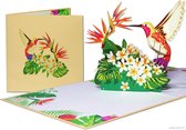 Popcards cartes popup – Colibri à Strelitzia plante oiseau de paradis Chèvrefeuille Vogel Fleurs Amitié Vie Optimisme Liberté carte pop-up Carte de voeux 3D