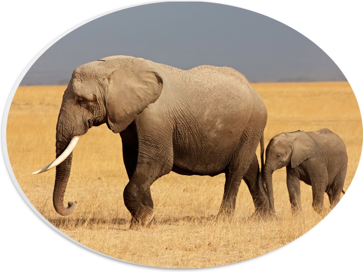 PVC Schuimplaat Ovaal - Afrikaanse Olifant met Baby Olifantje - 28x21 cm Foto op Ovaal (Met Ophangsysteem)