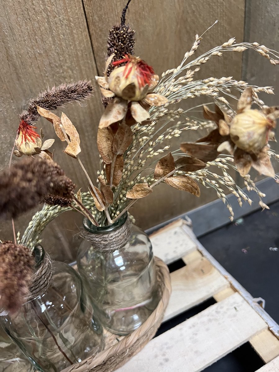 WJIAEER 33 stuks natuurlijke gedroogde bloemen, gedroogde bloemen, doe-het-zelf geperste bloemen, droogbloemen om te knutselen, droogbloemen WJIAEER 33 stuks natuurlijke gedroogde bloemen, gedroogde bloemen, doe-het-zelf geperste bloemen, droogbloemen om te knutselen, droogbloemen