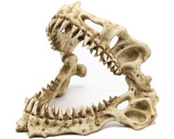 Aquarium decoratie - Haai schedel - 19x17x15 cm