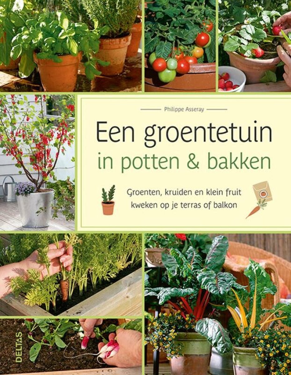 viool familie restjes Een groentetuin in pottten & bakken | 9789044764284 | Boeken | bol.com