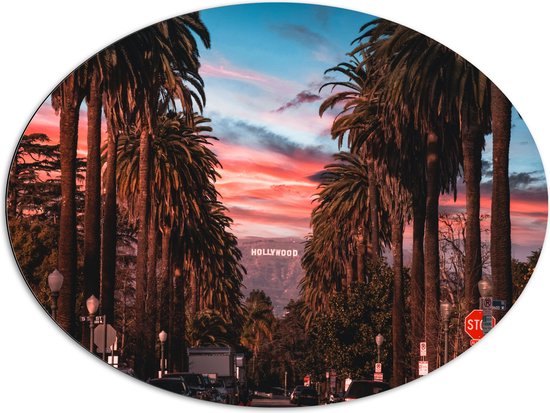 Dibond Ovaal - Los Angeles Hollywood met Palmbomen - 96x72 cm Foto op Ovaal (Met Ophangsysteem)