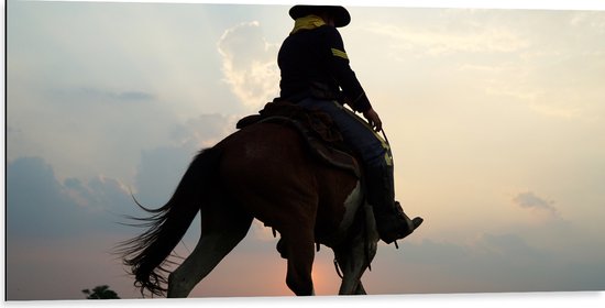 Dibond - Cowboy op Paard bij Zonsondergang - 100x50 cm Foto op Aluminium (Met Ophangsysteem)