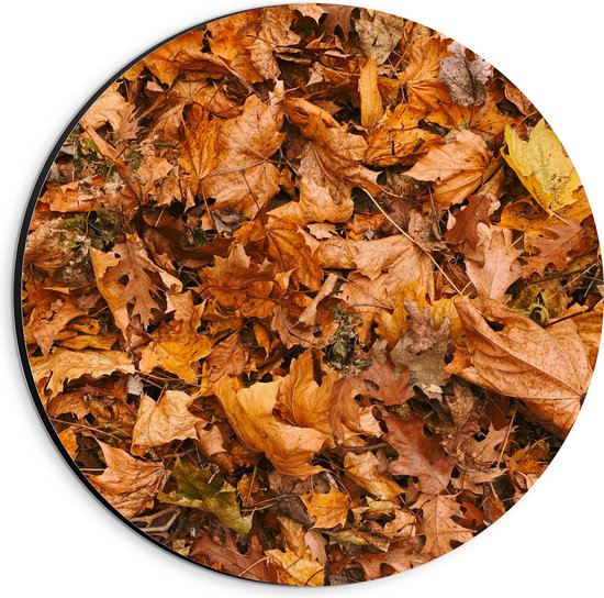 Dibond Muurcirkel - Herfst Bladeren - 20x20 cm Foto op Aluminium Muurcirkel (met ophangsysteem)