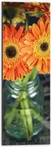 Dibond - Oranje Gerbera Jamesonii Bloemen - 20x60 cm Foto op Aluminium (Wanddecoratie van metaal)