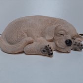 Beeldje blonde Labrador puppy liggend 20 cm breed