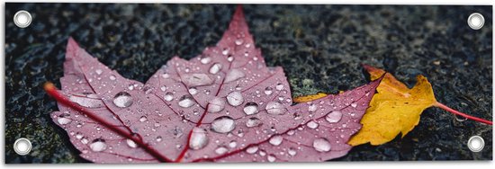 WallClassics - Tuinposter – Grote Regendruppels op Rood Blad - 60x20 cm Foto op Tuinposter (wanddecoratie voor buiten en binnen)