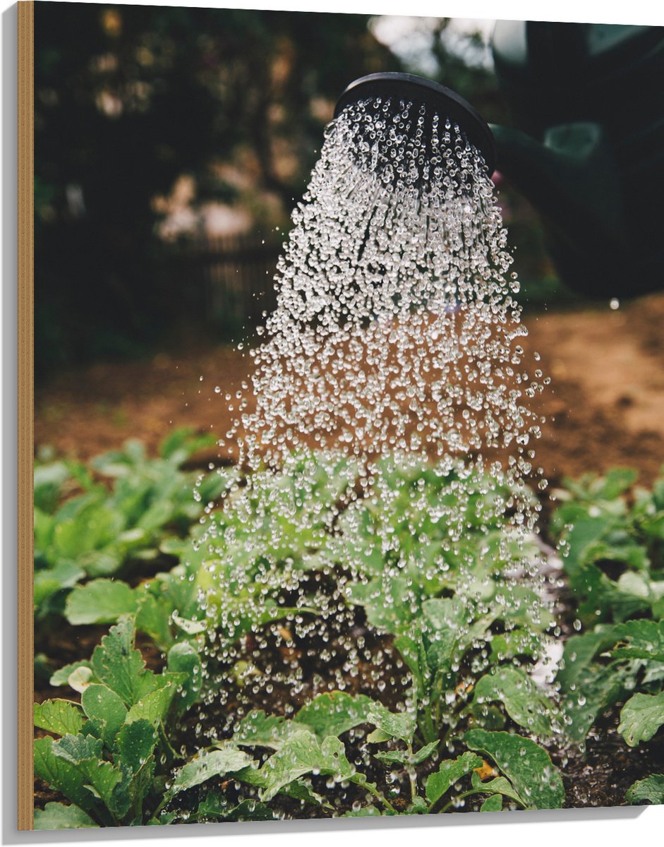 Hout - Planten Water Geven met Gieter - 75x100 cm - 9 mm dik - Foto op Hout (Met Ophangsys