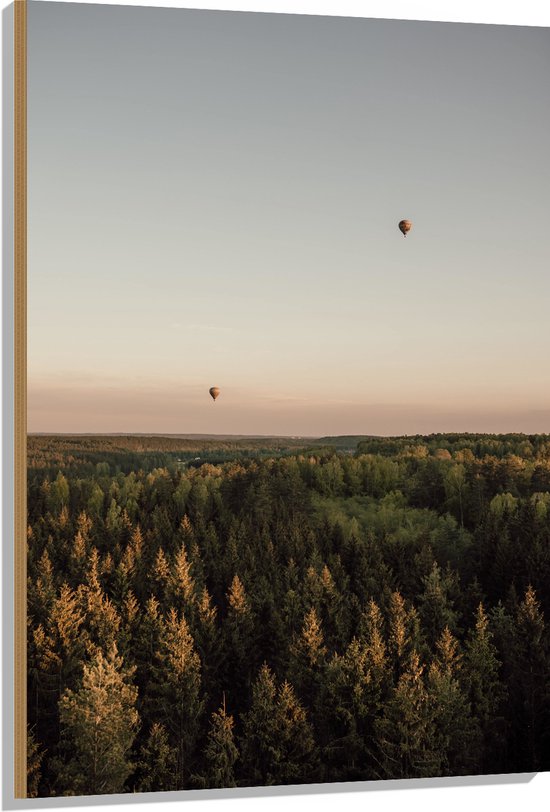 Hout - Luchtballonnen boven de Bossen - 80x120 cm - 9 mm dik - Foto op Hout (Met Ophangsysteem)