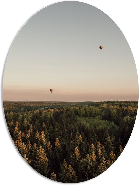 PVC Schuimplaat Ovaal - Luchtballonnen boven de Bossen - 72x96 cm Foto op Ovaal (Met Ophangsysteem)