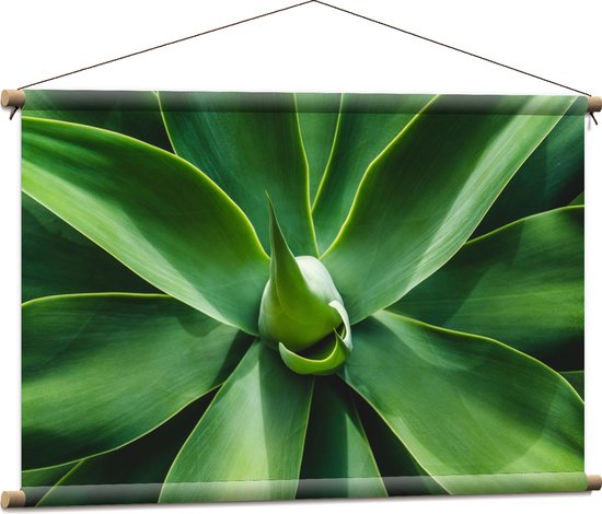 Textielposter - Groene Bladeren van een Plant - 90x60 cm Foto op Textiel