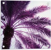 Tuinposter – Palmboom met Paarse Gloed - 50x50 cm Foto op Tuinposter (wanddecoratie voor buiten en binnen)