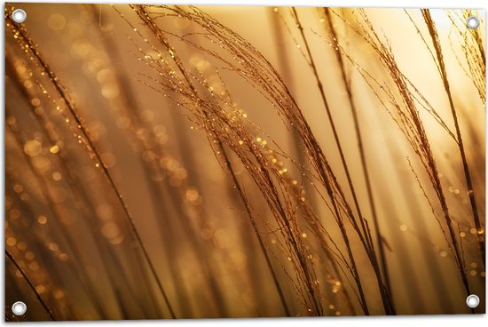 Tuinposter – Hoog Verdergras - 75x50 cm Foto op Tuinposter (wanddecoratie voor buiten en binnen)